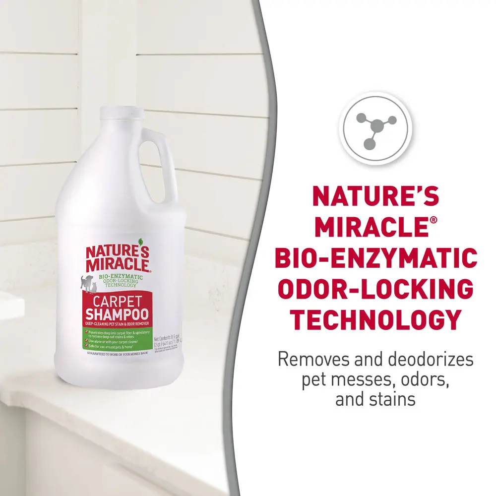 Carpet Shampoo Odor Locking