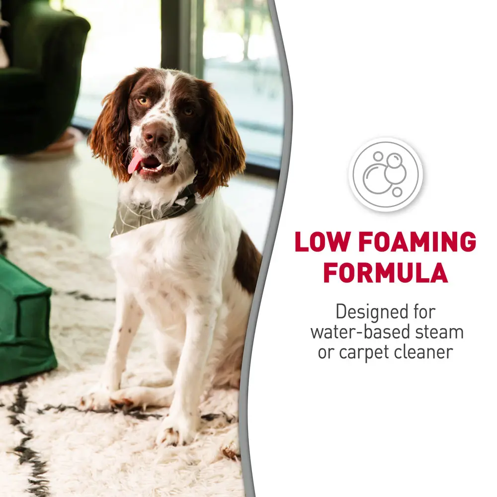 Carpet Shampoo Low Foaming