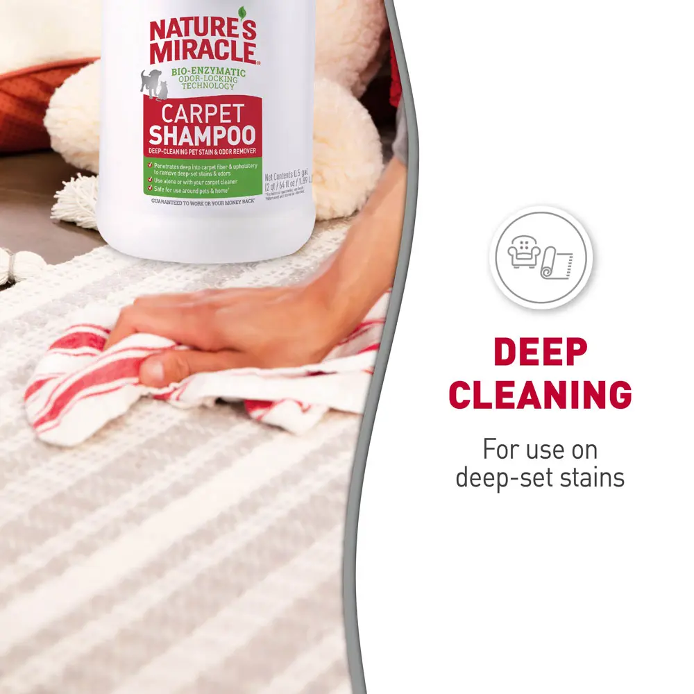Carpet Shampoo Deep Cleaning