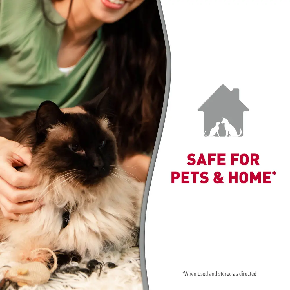 Carpet Shampoo Safe for Pets and Home