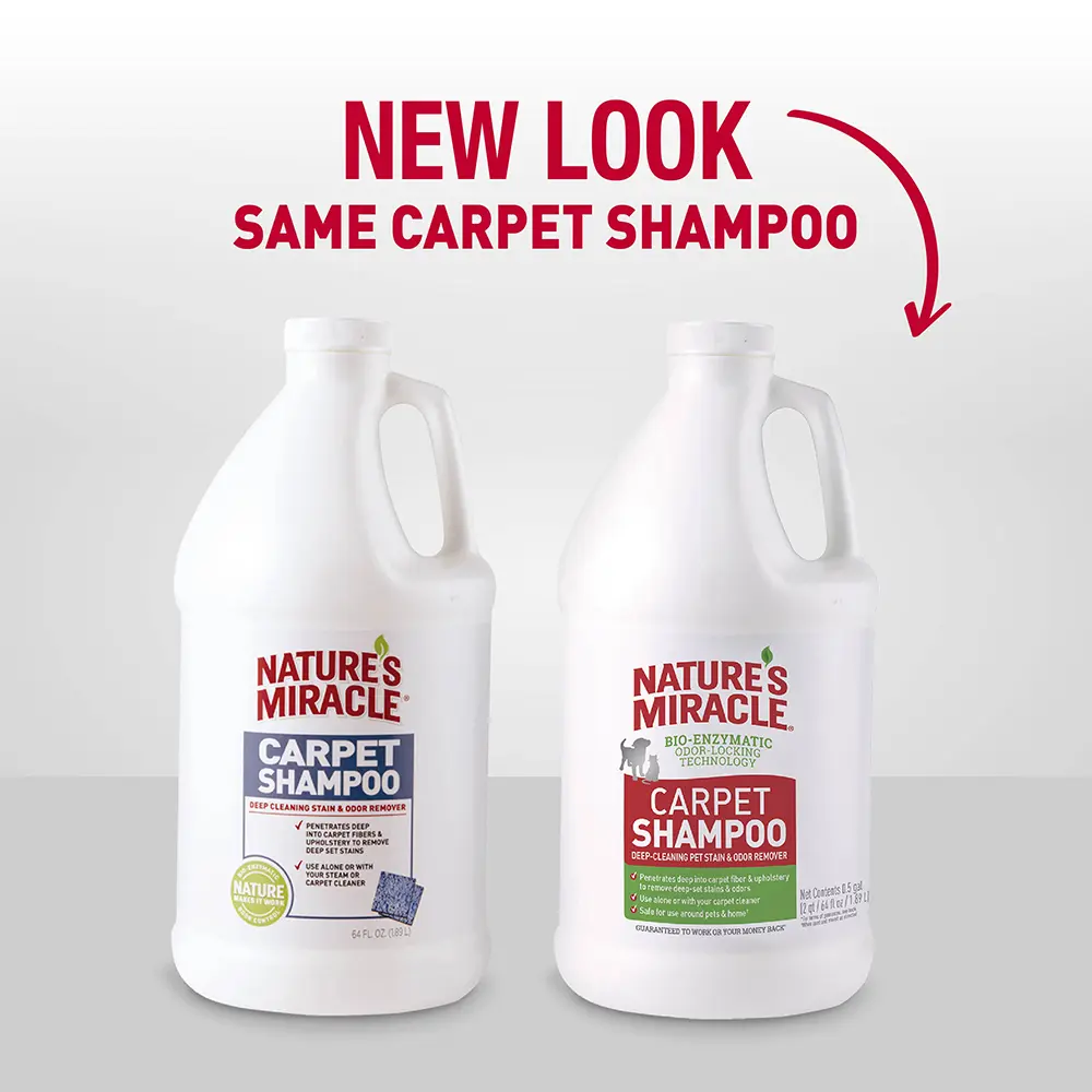 Carpet Shampoo New Look