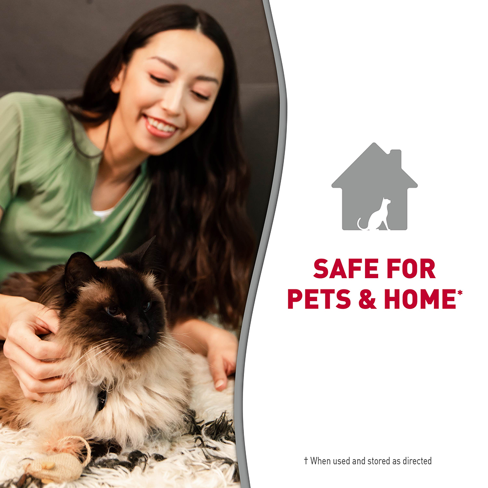 Clumping Corn Cob Litter Safe for Pets and Home