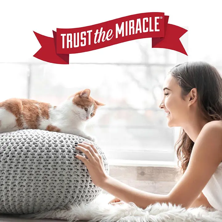 Trust the Miracle