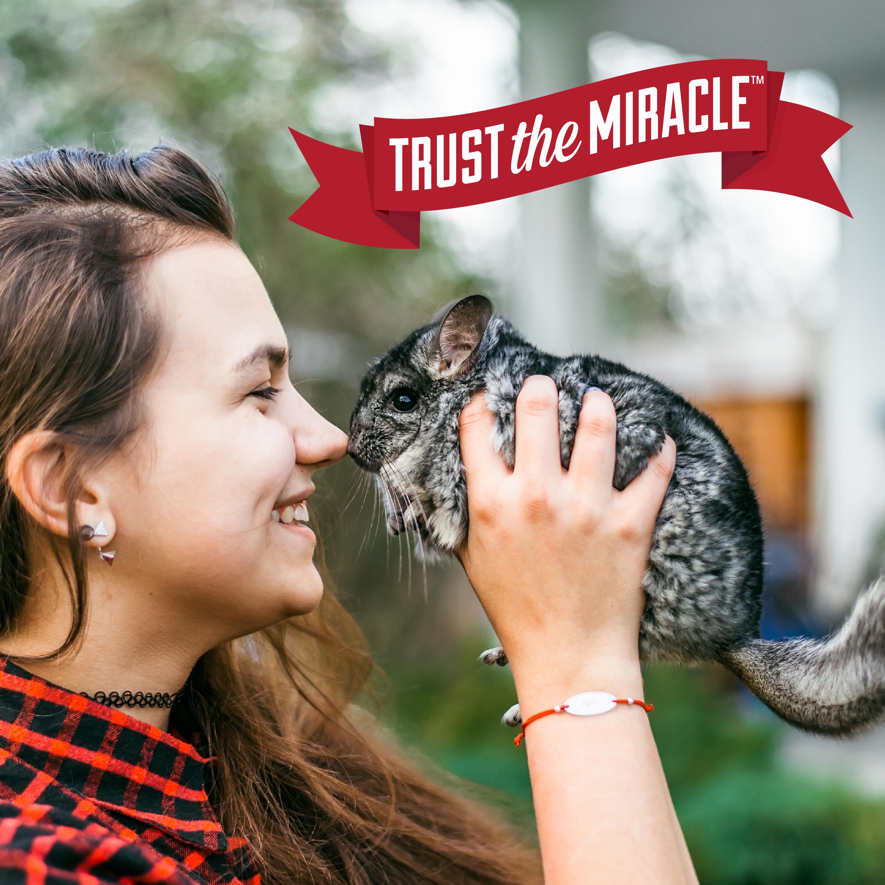 Small Animal Cage Wipes Girl with Chinchilla