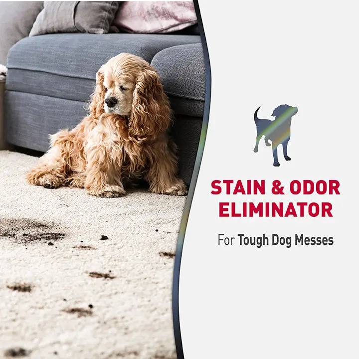 Advanced SO Eliminator for Dogs