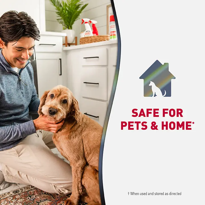 Safe For Pets and Home