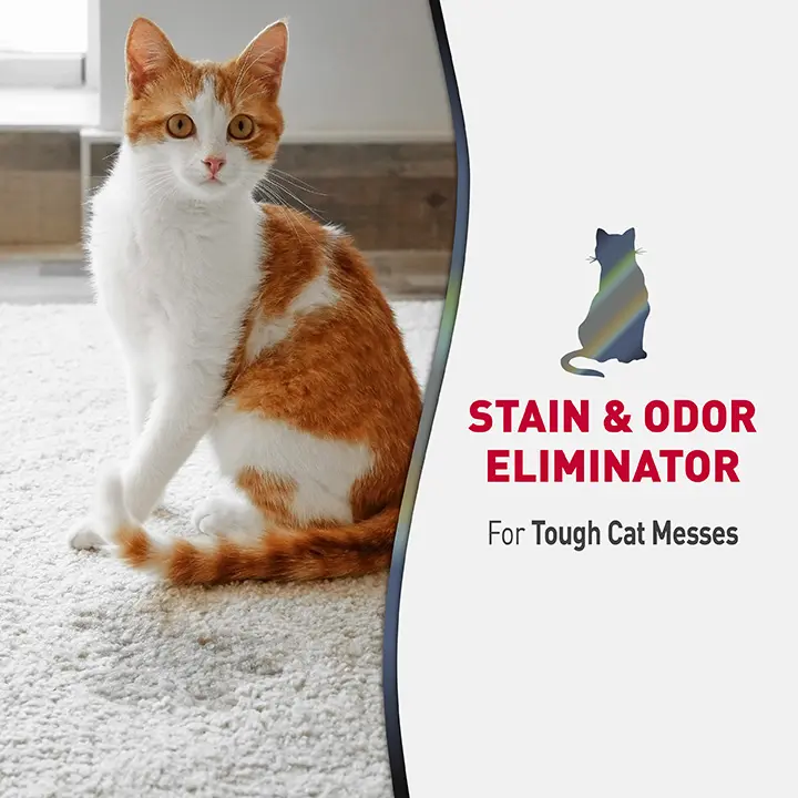 Advanced SO Eliminator for Cats