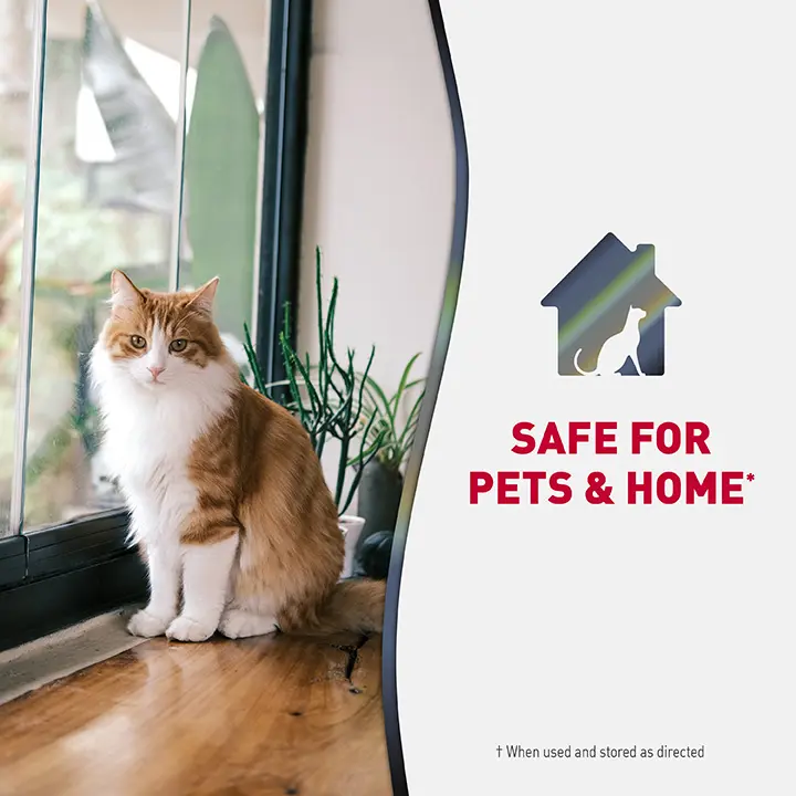 Safe For Pets and Home