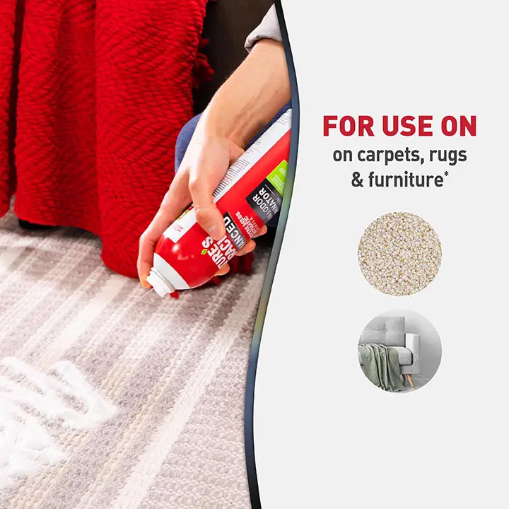 Advanced Stain and Odor Eliminator for Dogs- foam