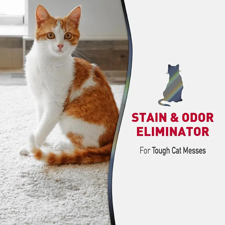 Advanced Stain and Odor Eliminator for Cats - foam