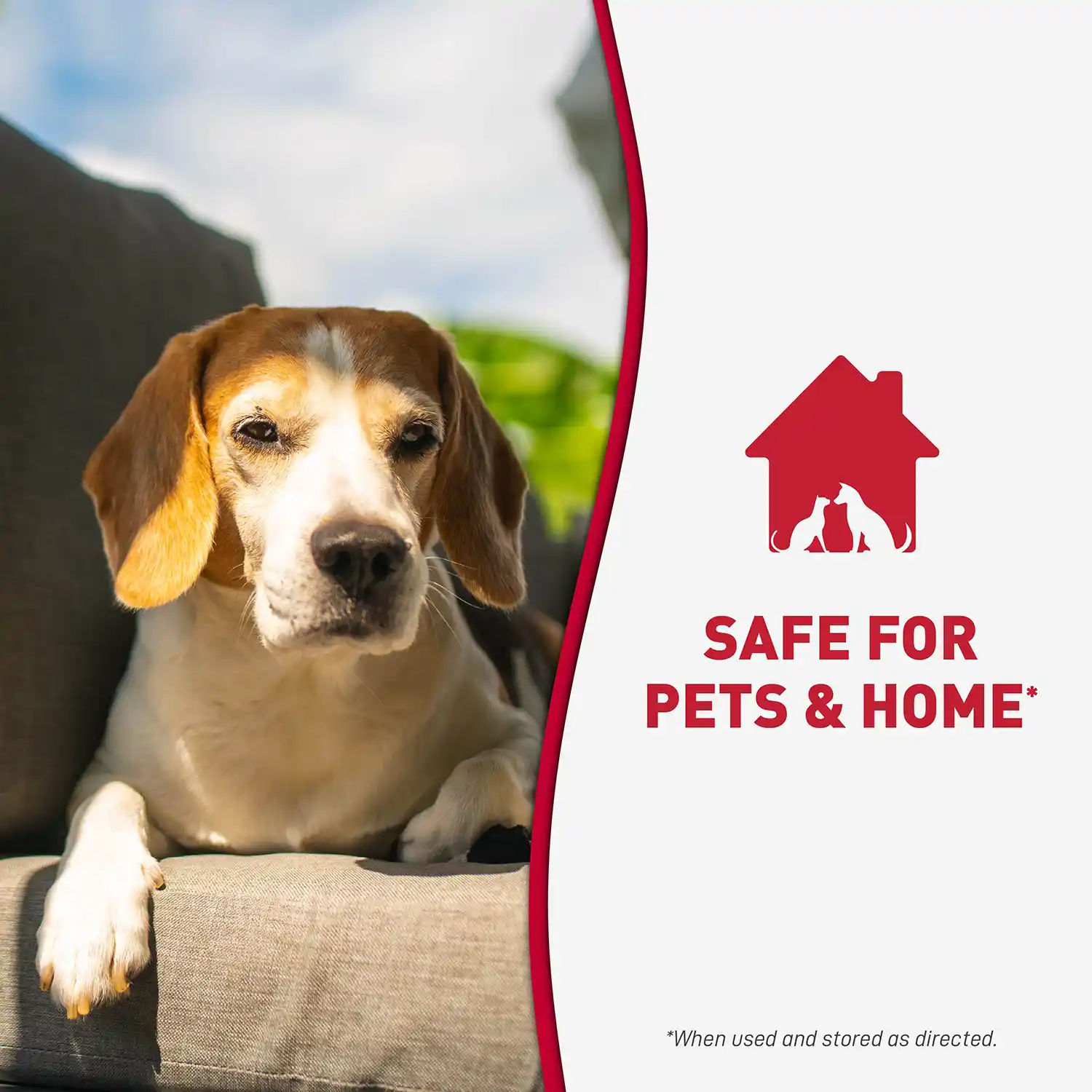 SAFE FOR PETS & HOME*