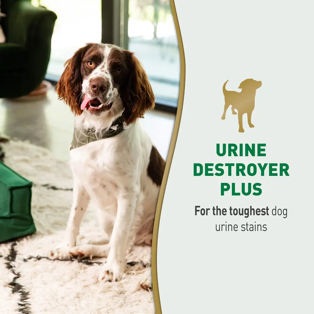 Urine Destroyer for Dogs
