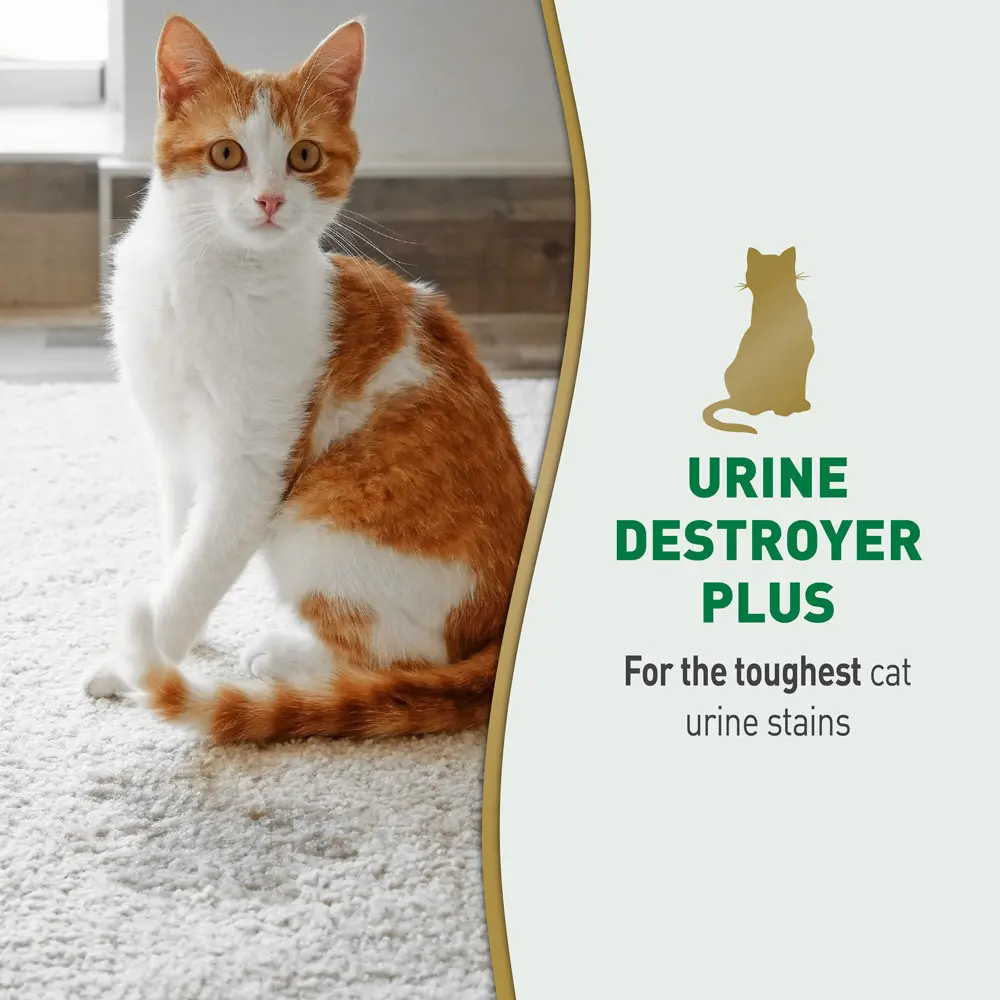 Urine Destroyer for Cats