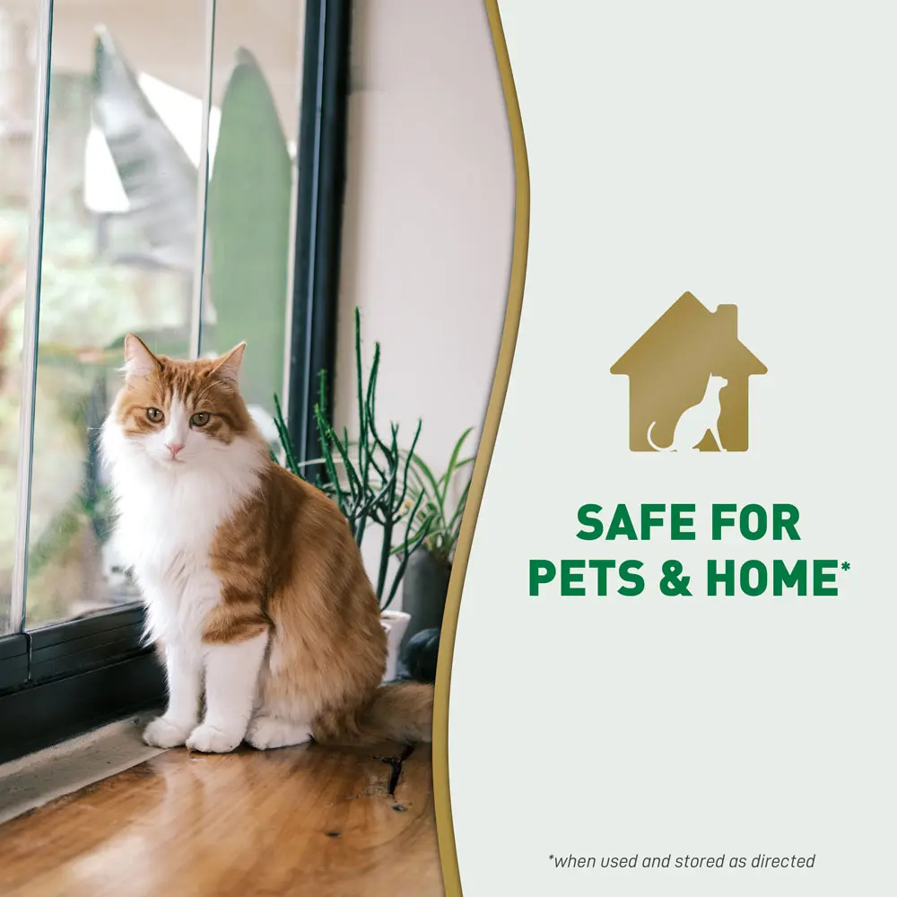 Safe For Pets and Home