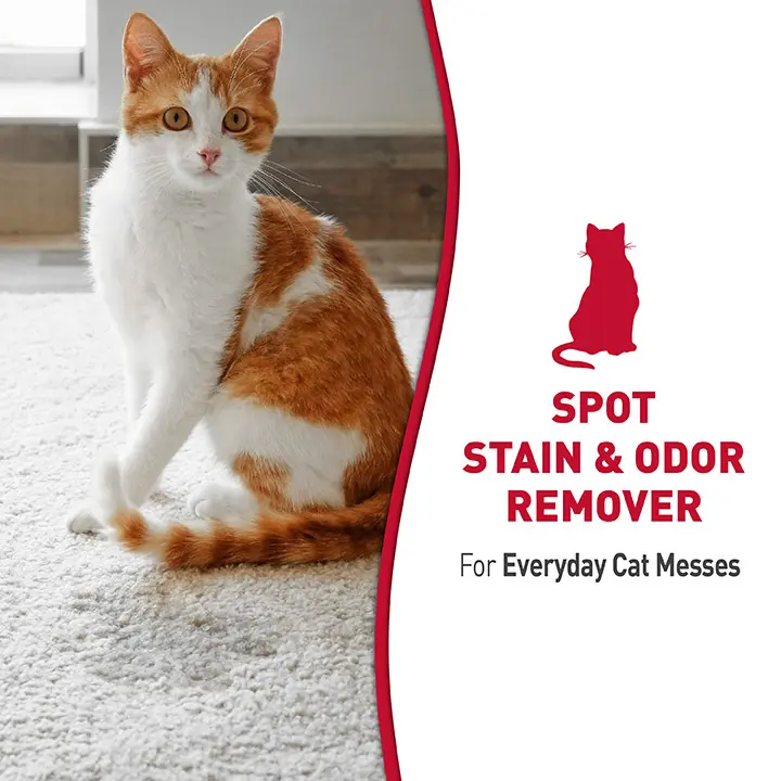 SO for Cats Melon Burst