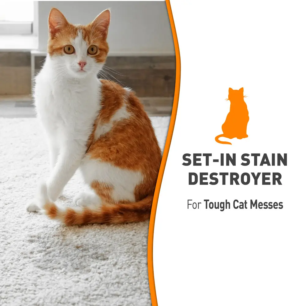 Set In Stain Destroyer for Cats
