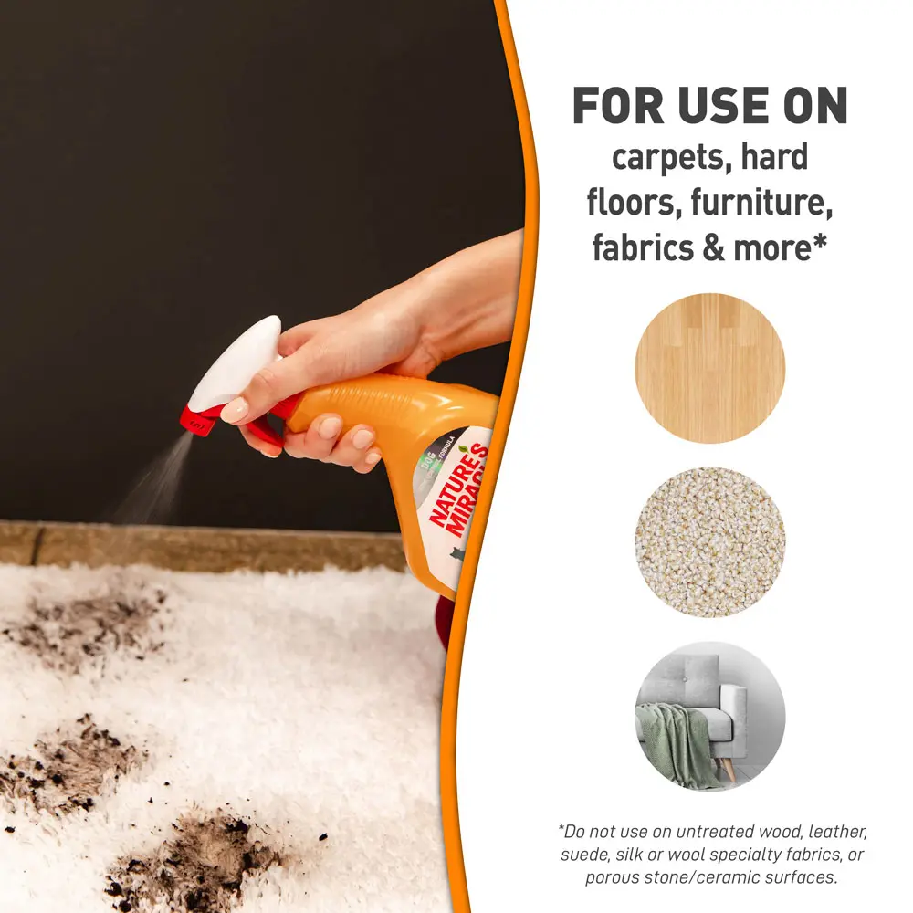 Set In Stain Destroyer for Cats