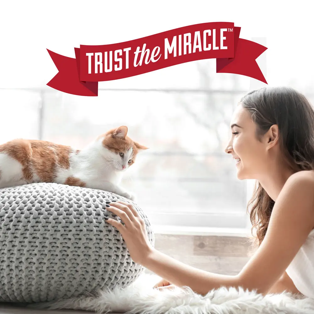 Trust the Miracle