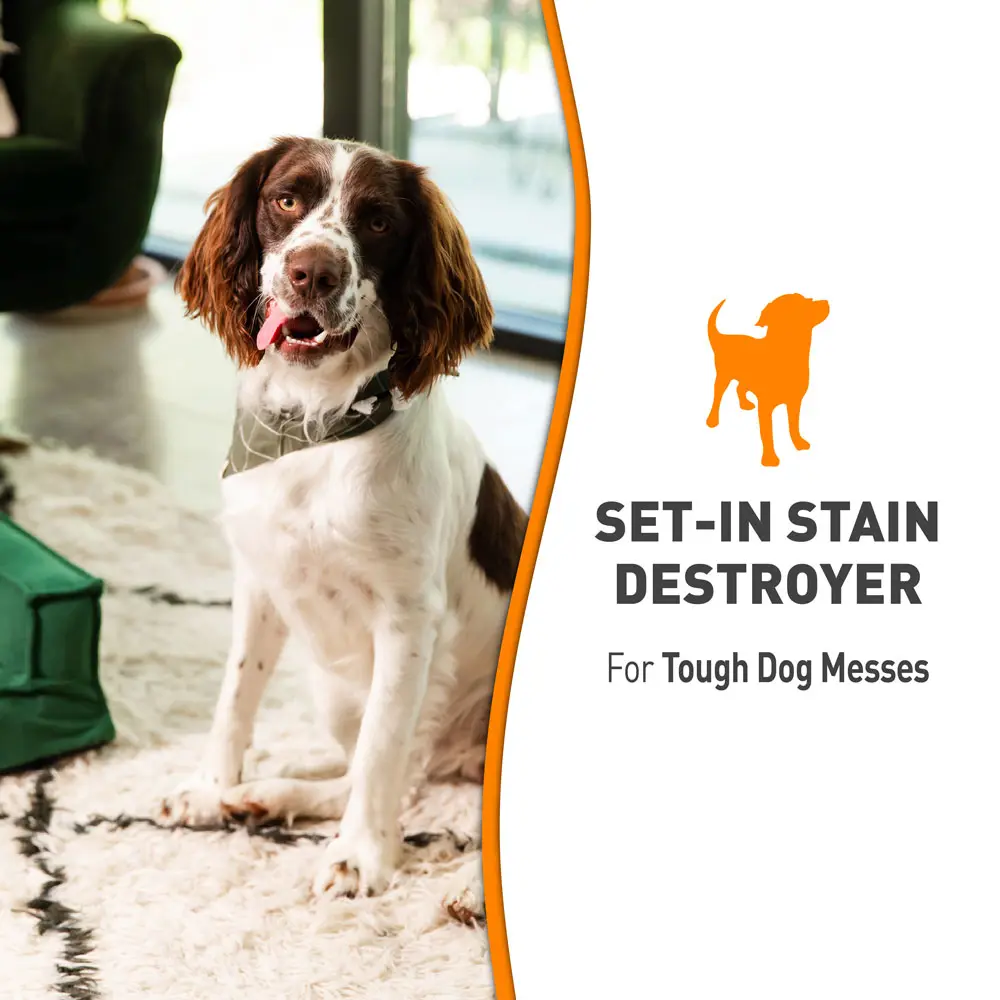 Set In Stain Destroyer for Dogs