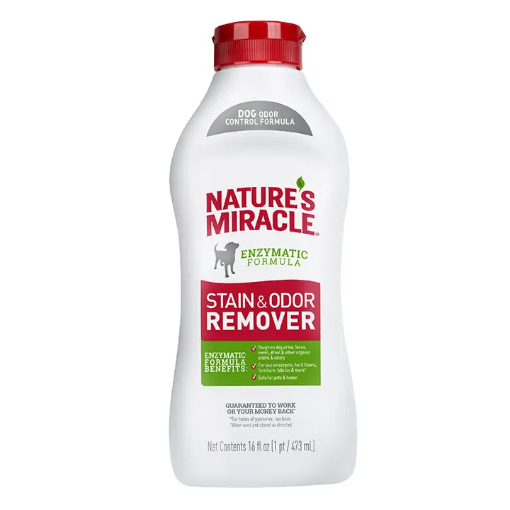Stain and Odor Remover for Dog Front