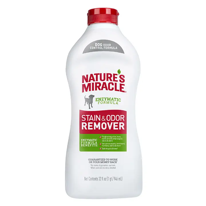 Stain and Odor Remover for Dog Front