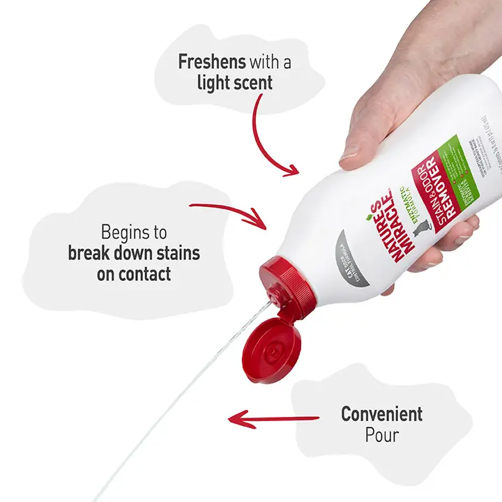 Stain and Odor Remover for Cats InUse