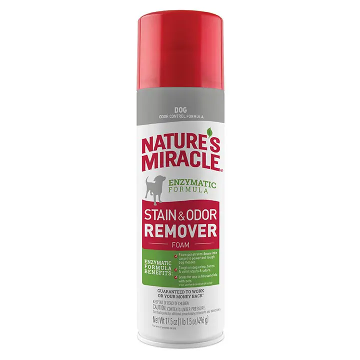 Stain and Odor Remover for Dogs foam Front
