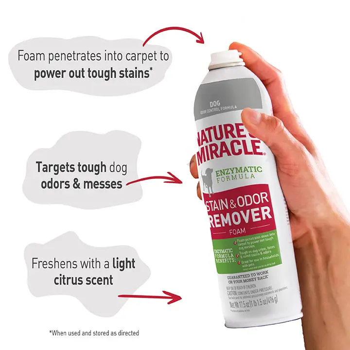 Stain and Odor Remover for Dogs foam Benefits
