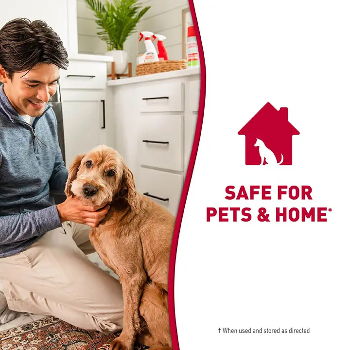 Safe For Pets and Home