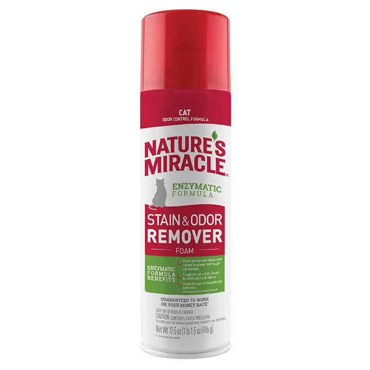 Stain and Odor Remover for Cats foam Front