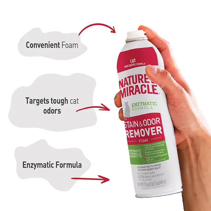 Stain and Odor Remover for Cats foam Benefits