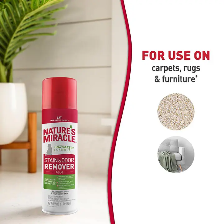 Stain and Odor Remover for Cats foam InUse