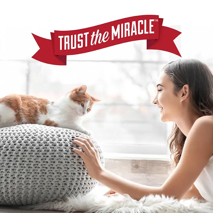 Trust The Miracle