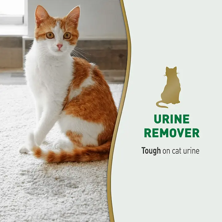 Urine Remover For Cats 