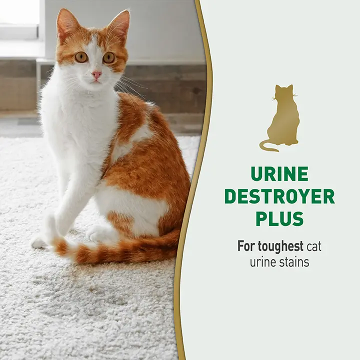Urine Destroyer Plus 