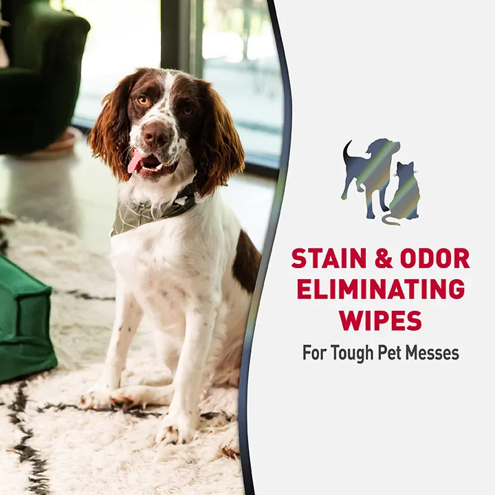 Stain and Odor Eliminating Wipes