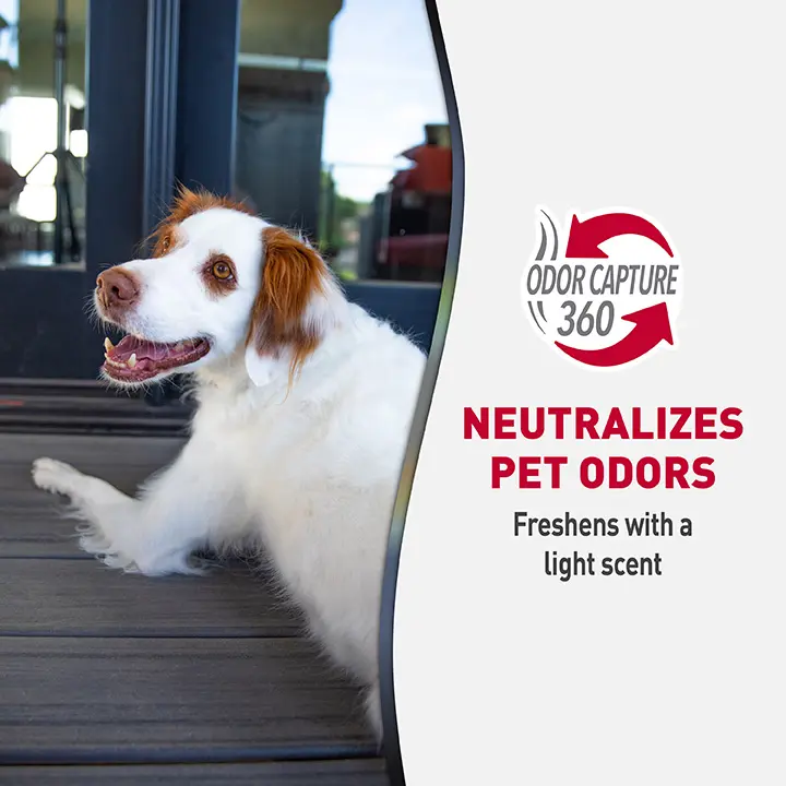 Stain and Odor Eliminating Wipes Neutralizes Odors