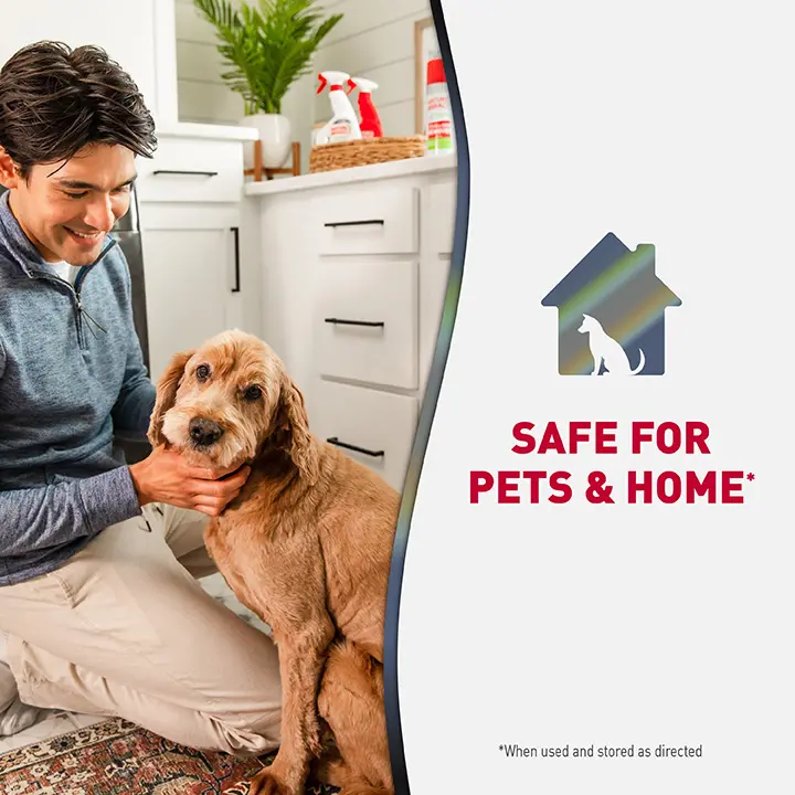 Stain and Odor Eliminating Wipes Safe for Pets