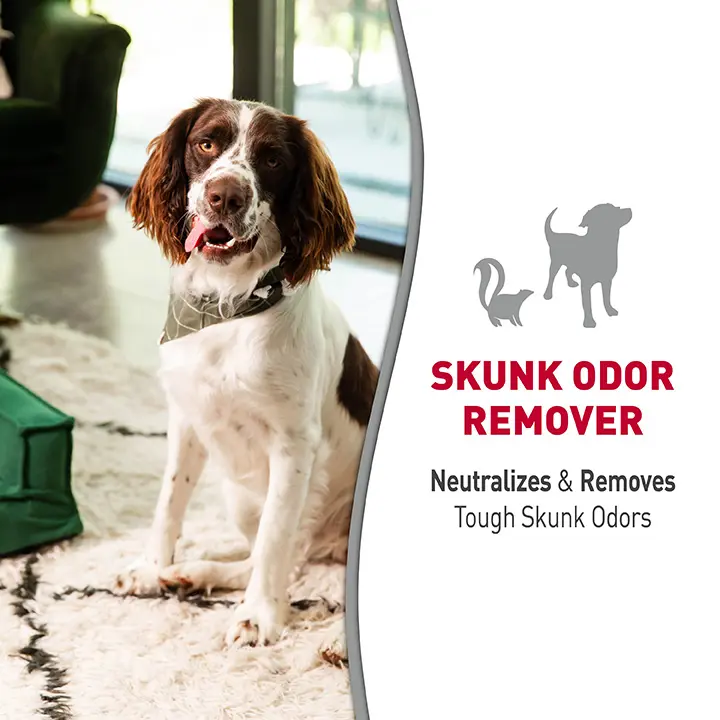 Skunk Odor Remover Lavender