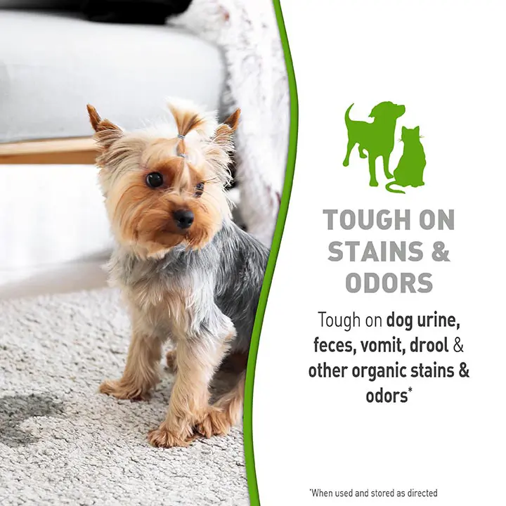 Simply Stain and Odor Remover Feature