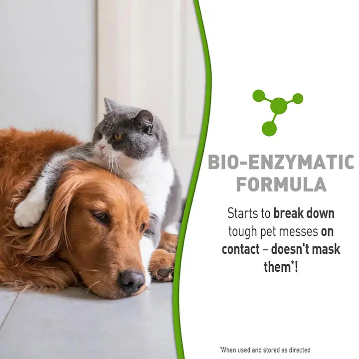  Simply Stain and Odor Remover Benefits