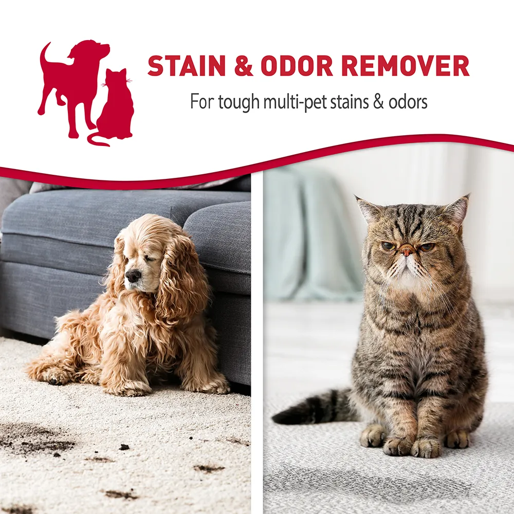 Stain and odor remover for tough multi-pet stains and odors