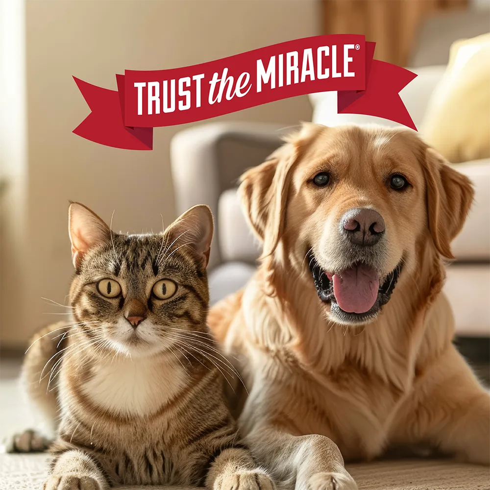 Image of dog and cat with brand statement, trust the miracle