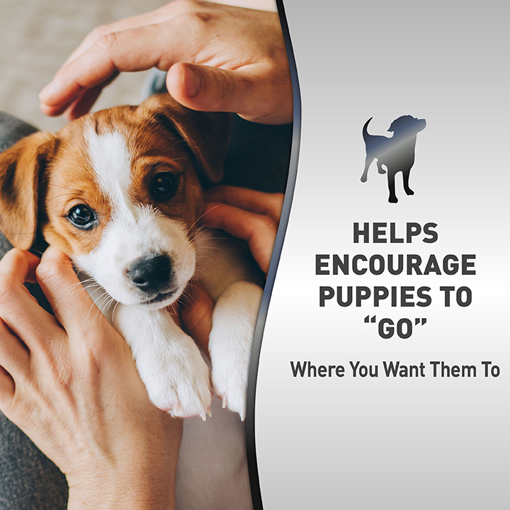 Feature Puppy Potty Training Spray