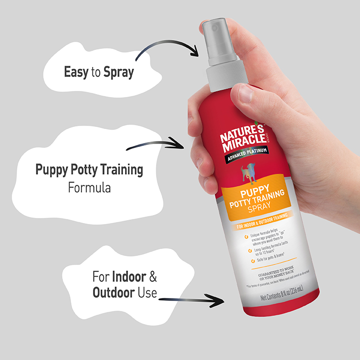 Puppy Potty Training Spray In Use