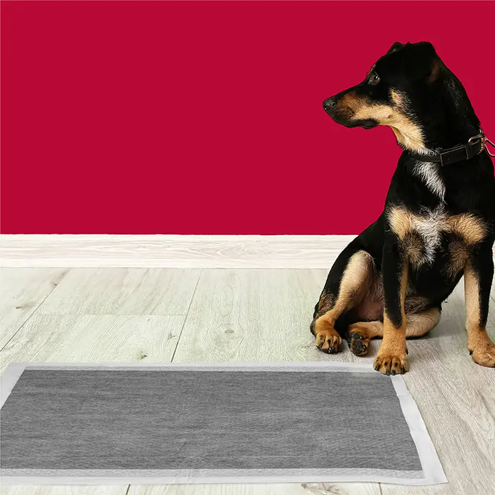 Dog and Training Pad