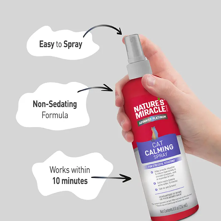 Cat Calming Spray in Use
