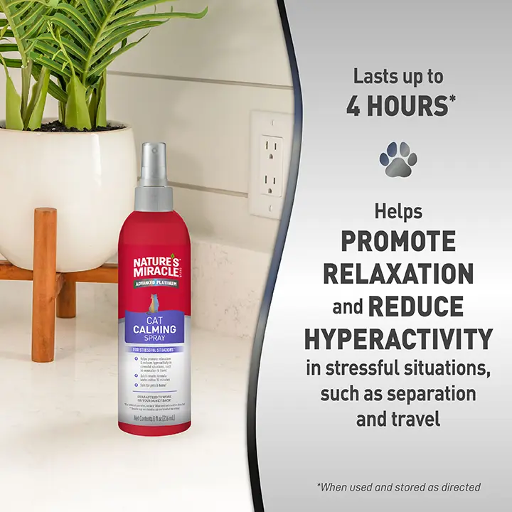 Cat Calming Spray Benefits