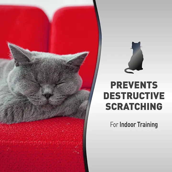 Cat Scratch Spray Prevents Destruction 