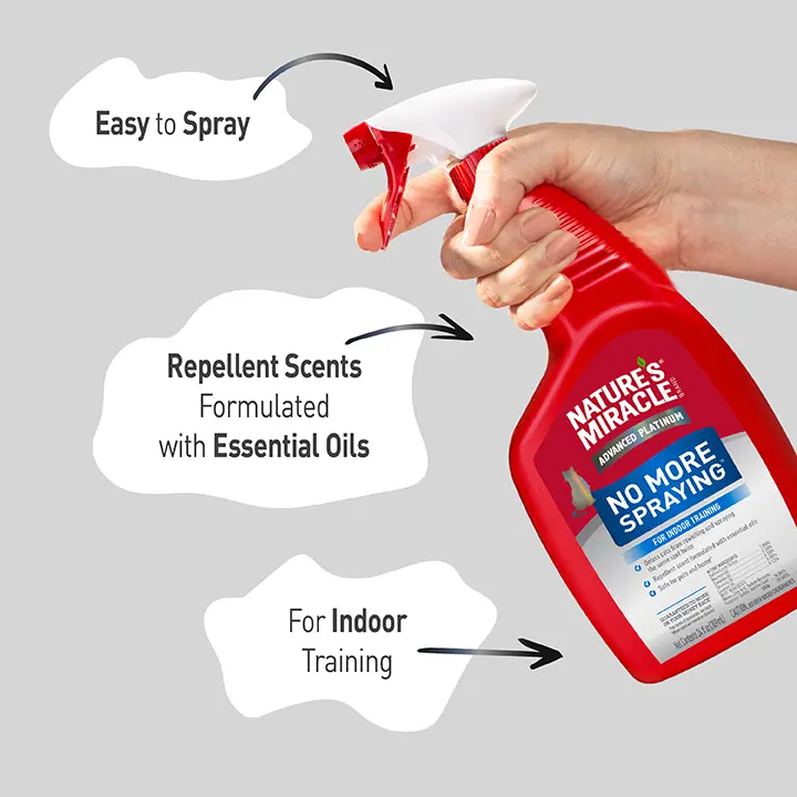 Cat No More Spraying InUse